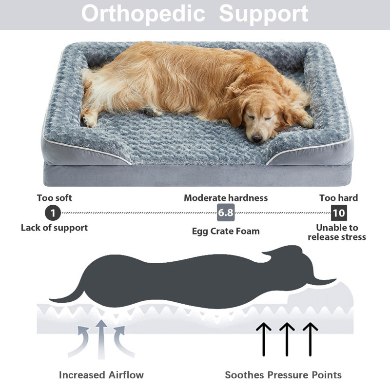 Large hard dog bed shop